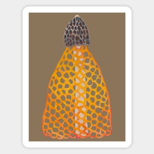 Netted stinkhorn mushroom Magnet